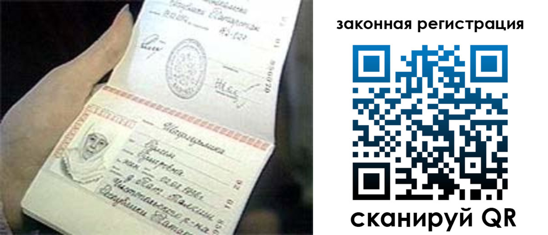 прописка для школы в Фокино